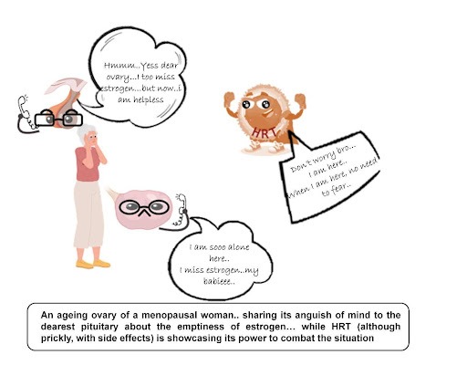 HRT Menopausal Symptoms