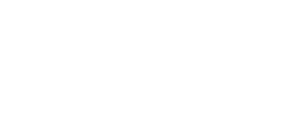 Business Standard Logo png 2