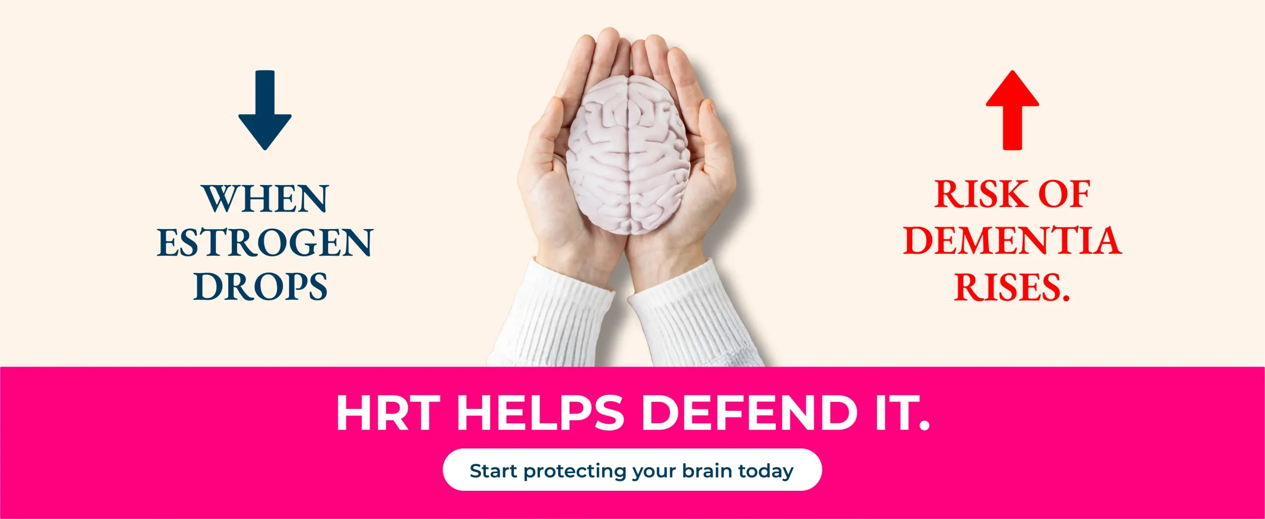 brain 2@300x 100 scaled