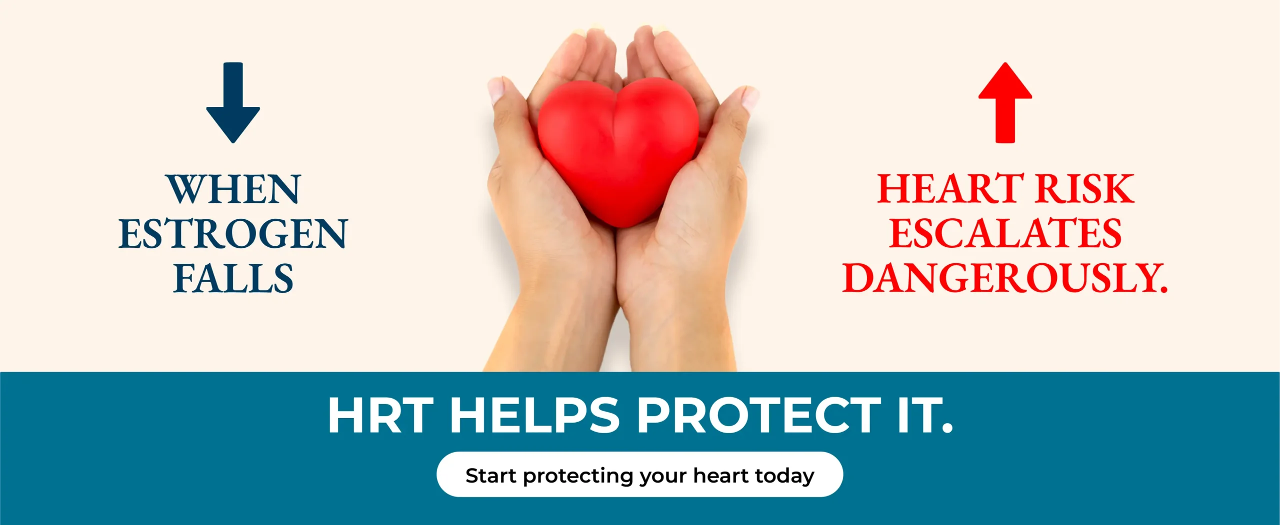 heart 1@300x 100 scaled