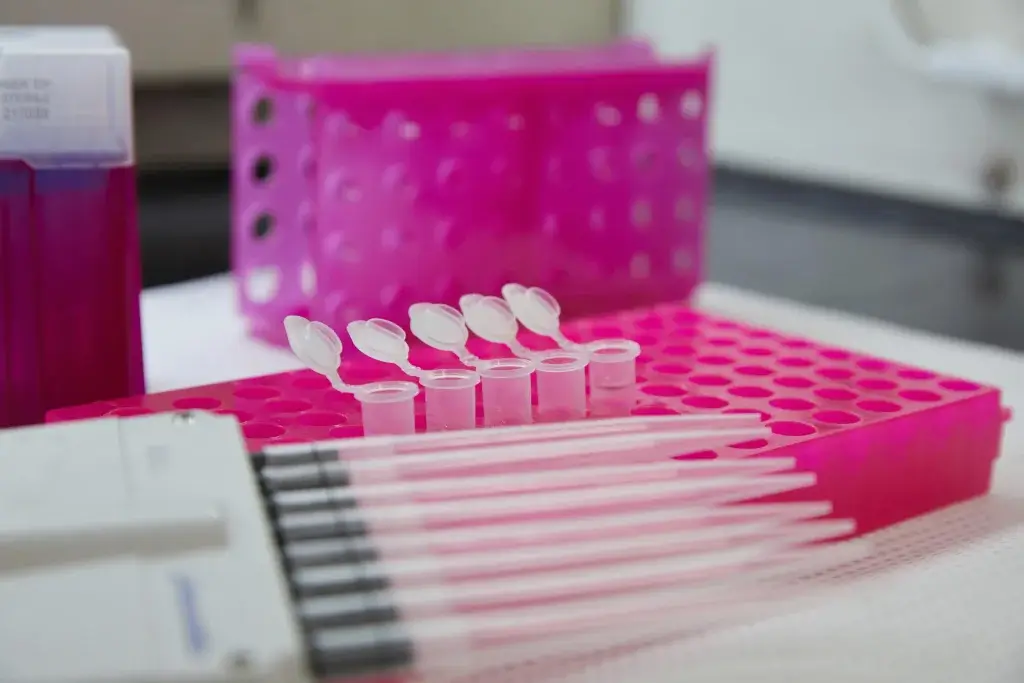 Blood test for menopause showing laboratory-prepared hormone samples used to evaluate estrogen, FSH, and other menopause-related hormone levels