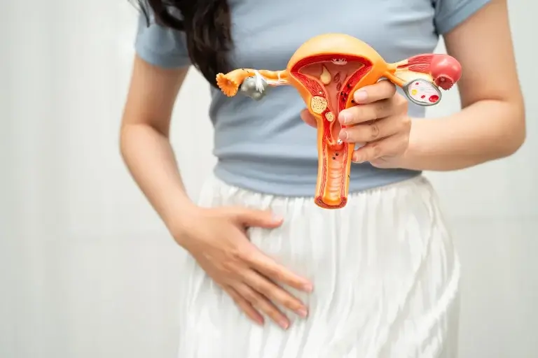 Hormonal imbalance in women concept with female holding uterus model showing reproductive health, menstrual cycle changes and hormone related symptoms