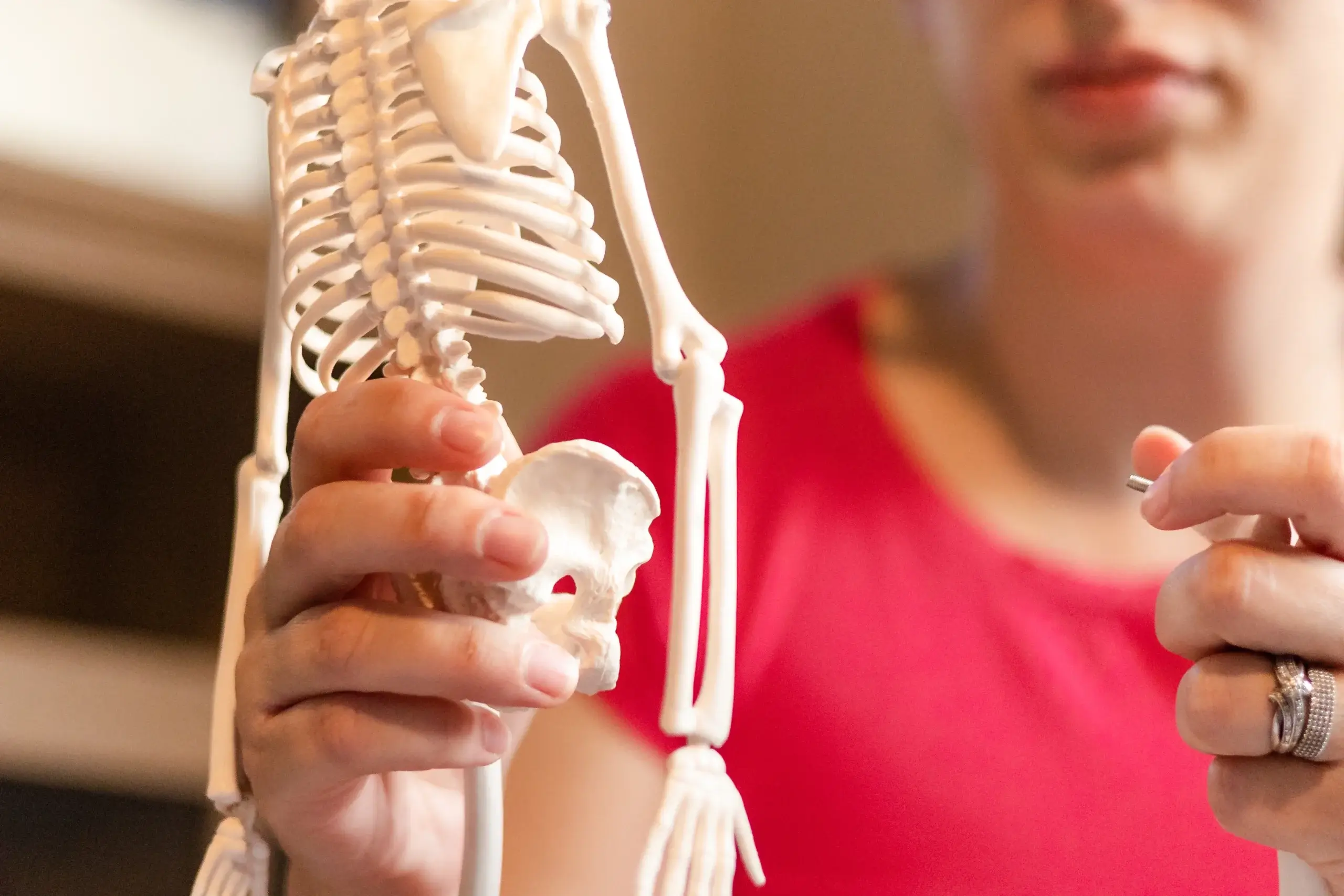 Woman holding a skeleton model to explain menopause bone loss and osteoporosis risk