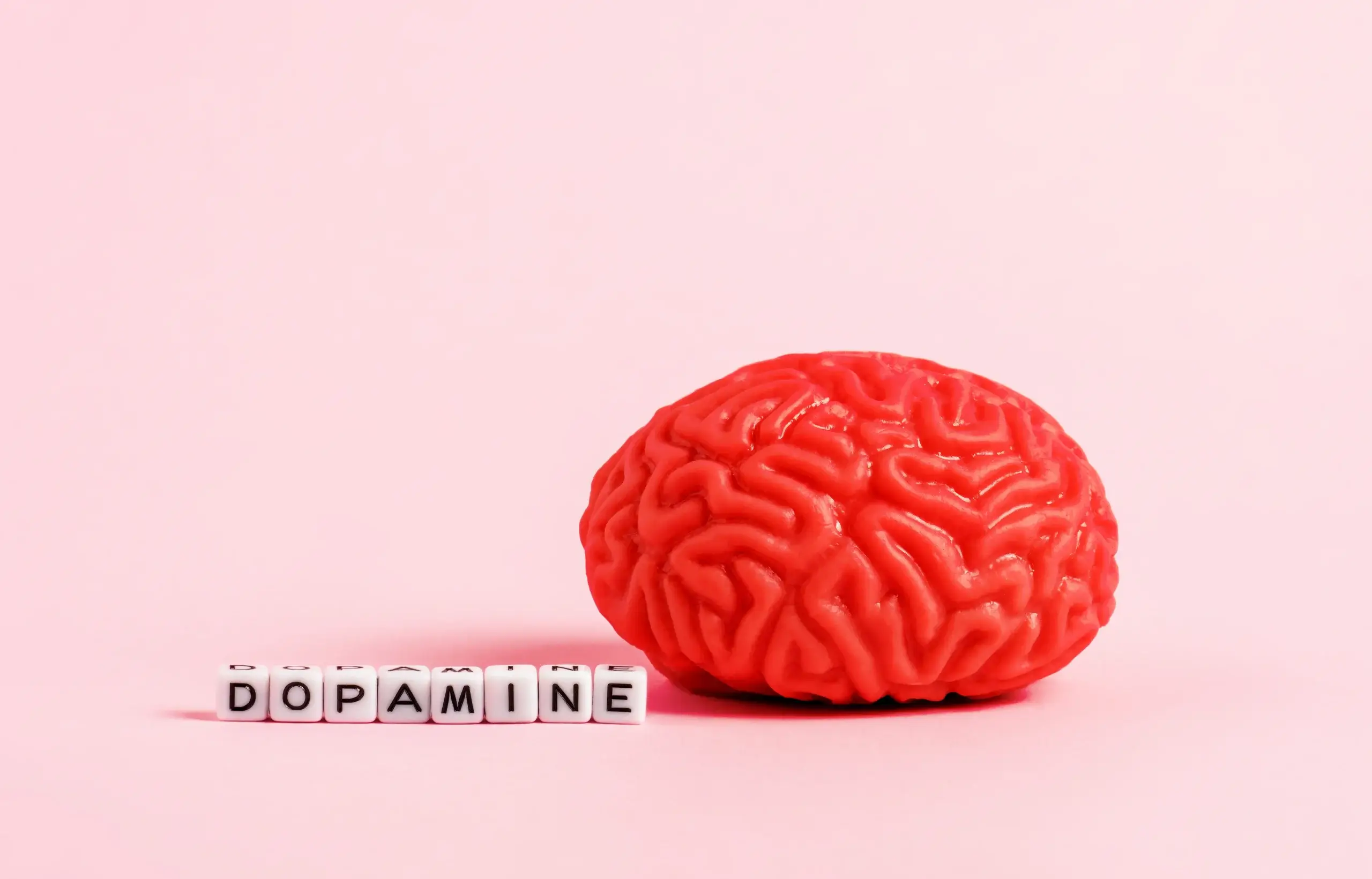 Dopamine brain functioning and dopamine impact on hormones