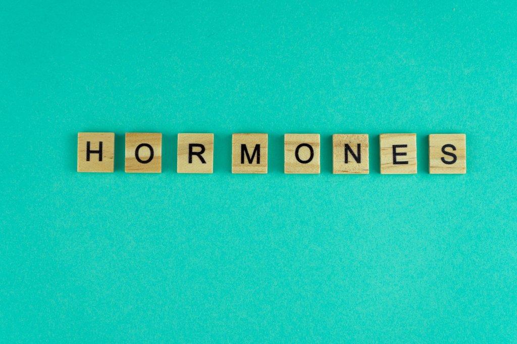 Hormones and metabolism
