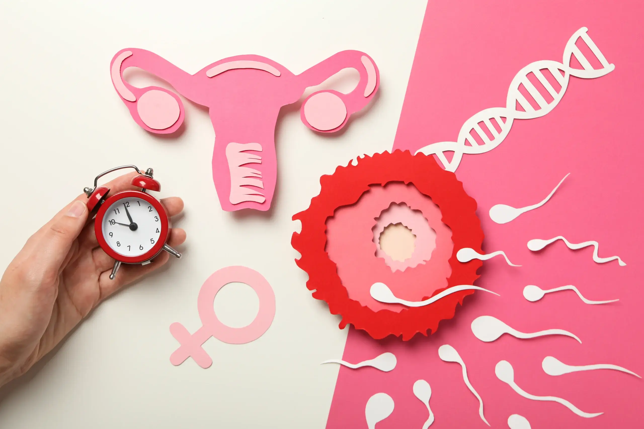 Learn the difference between premenopause and perimenopause, including symptoms, hormonal changes, treatment options, and when to seek medical advice in this comprehensive guide.