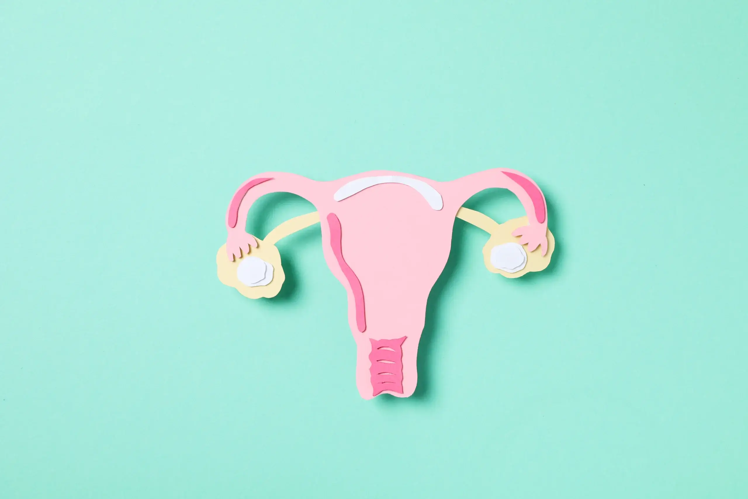 Wondering about ovary removal after age 50? Learn the benefits, risks, recovery, long-term health effects, and when doctors recommend the procedure. Expert-backed guide.