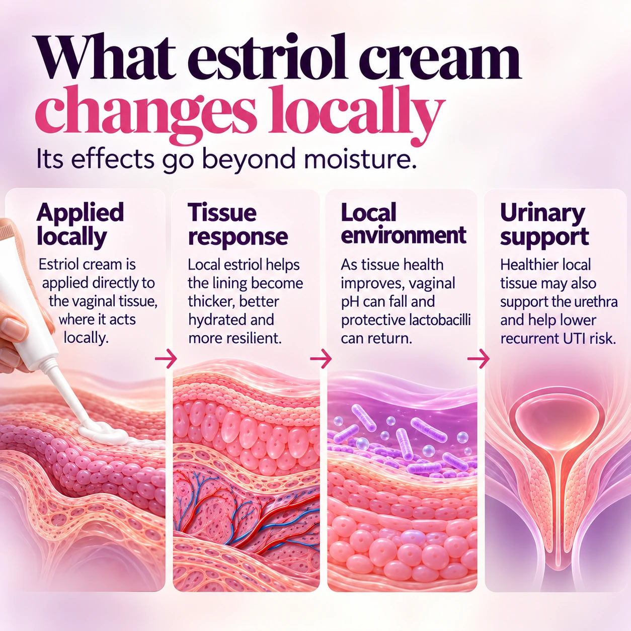 How estriol cream acts locally to support vaginal tissue, vaginal pH, lactobacilli and urinary health