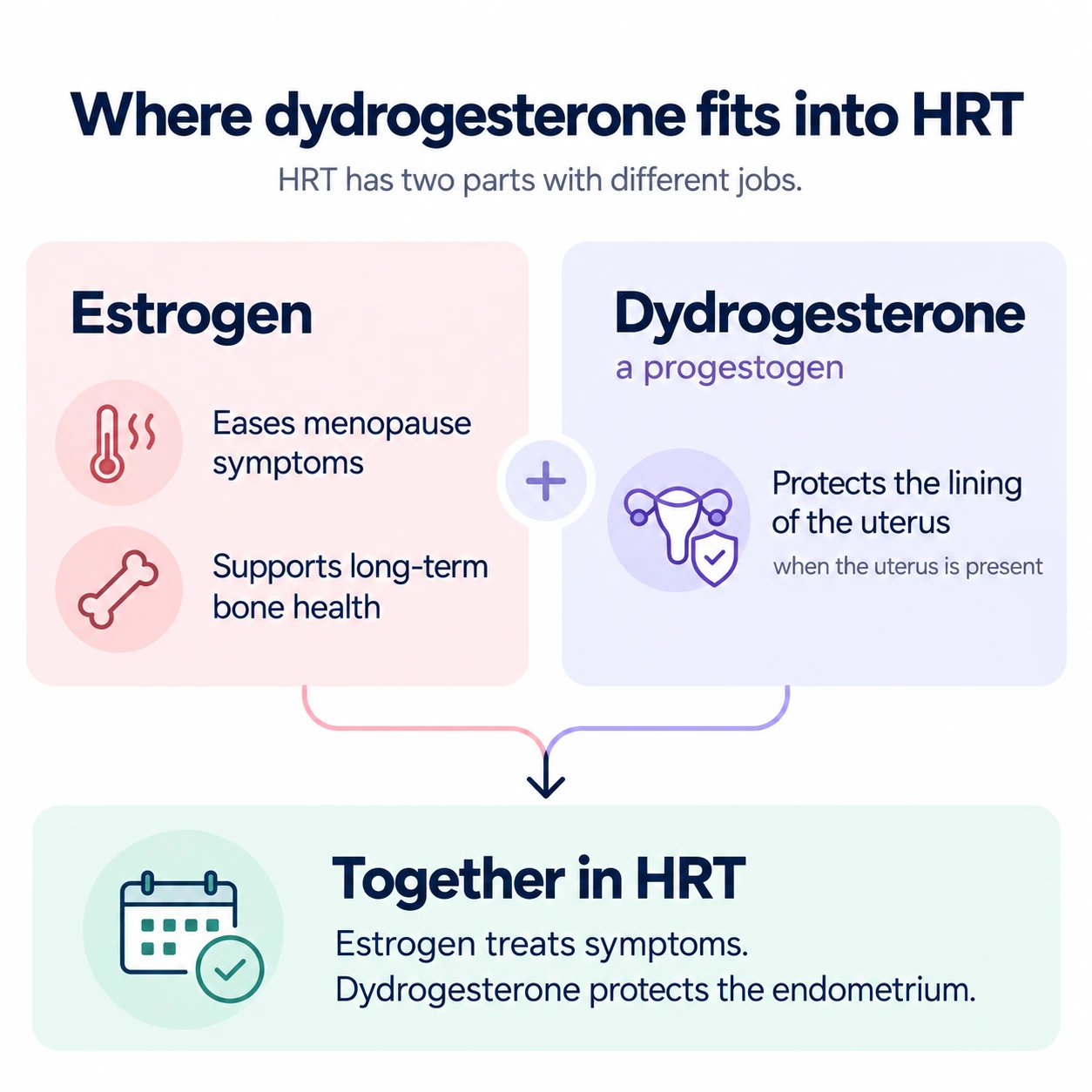 Dydrogesterone in HRT showing how estrogen treats menopause symptoms while dydrogesterone protects the uterine lining.