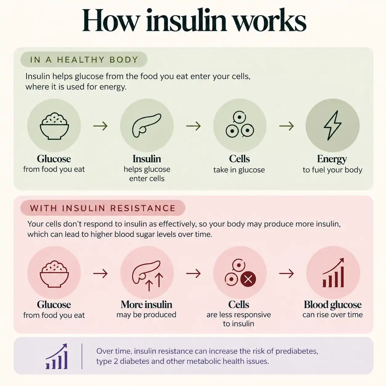 Insulin resistance diet: how insulin affects glucose and blood sugar