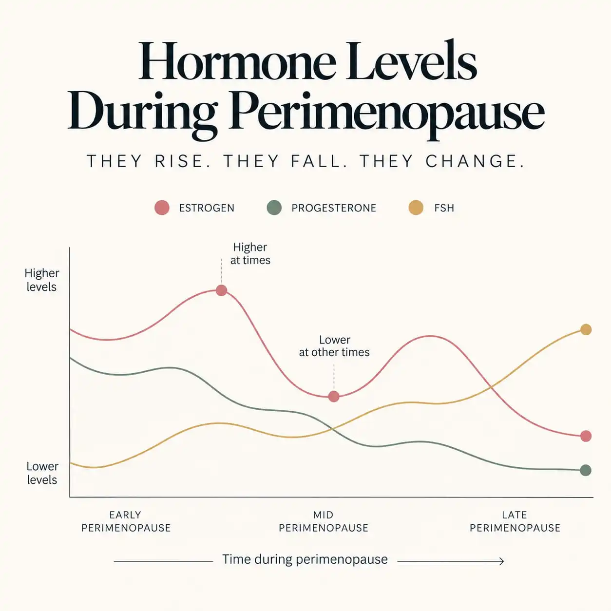 Menopause blood tests and hormone fluctuations during perimenopause, showing why one test may not reflect the broader picture