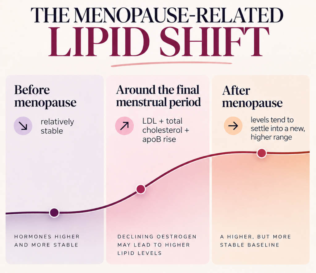 Menopause and Cholesterol